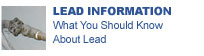 Lead Information